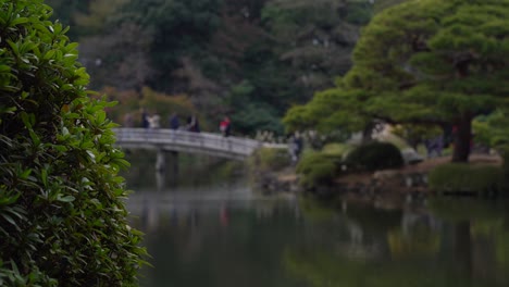 shinjuku gyoen national garden, tokyo, japan - tourists walking on the bridge while capturing beautiful photos at the park - wide shot