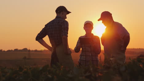 Un-Grupo-De-Agricultores-Está-Discutiendo-En-El-Campo-Usando-Una-Tableta.-Dos-Hombres-Y-Una-Mujer-Trabajan-En-Equipo.