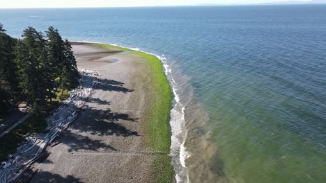 moss covered pebbles at an empty beach on a sunny morning in british columbia