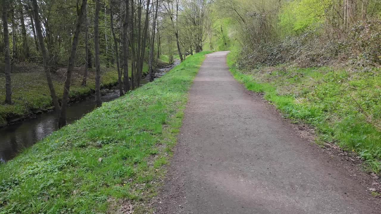 Hyperlapse Impression: Moving Along a Woodland Path