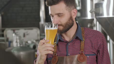 young brewer wearing a leather apron is tasting beer at a modern brewery