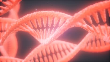 double helical structure of dna strand close-up animation