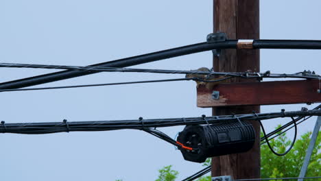 An urban squirrel perched upon a power line during a slight rainfall