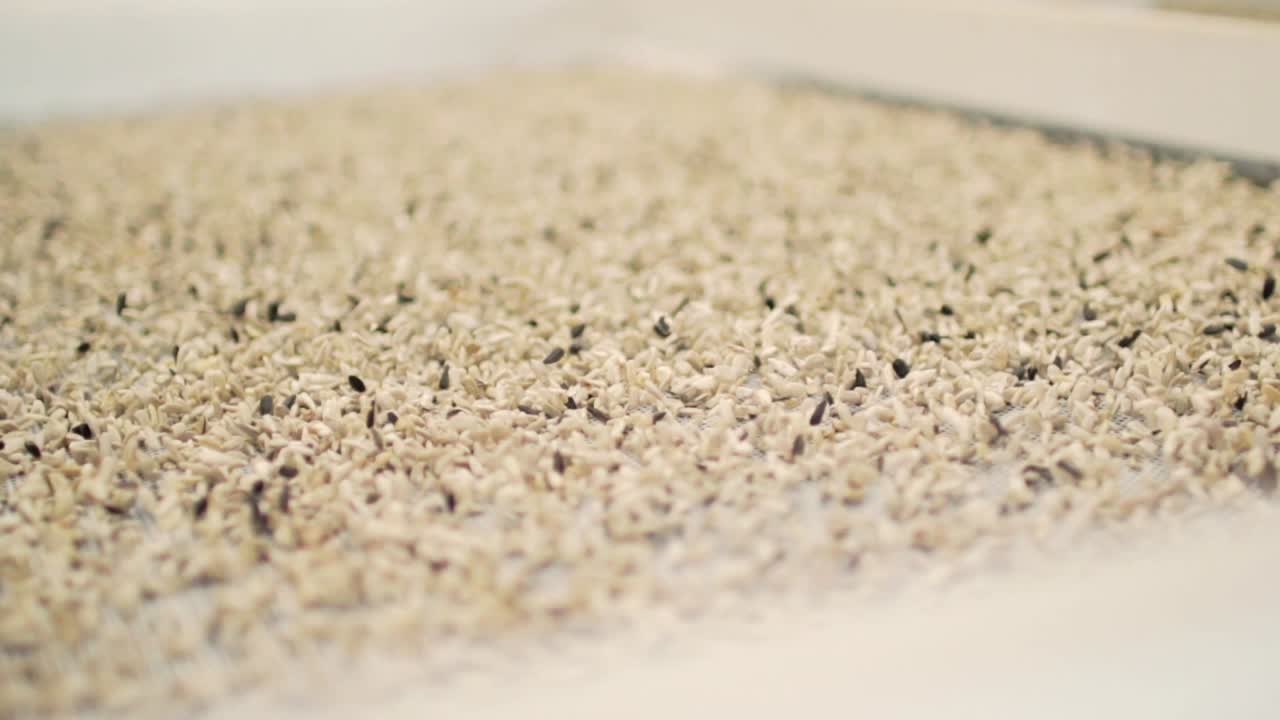 공장에서 질을 벗긴 꽃 씨