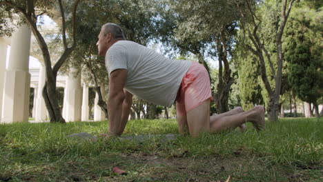 yoga asanas in the park