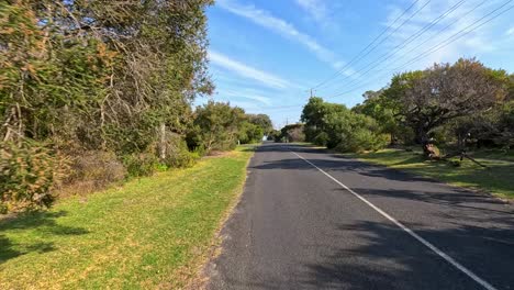 a tranquil drive along sunlit, tree-lined roads in point lonsdale, showcasing lush greenery and clear blue skies