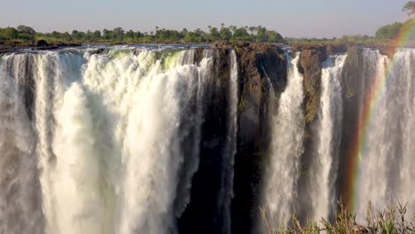 beautiful close establishing shot with rainbow of victoria falls and jungle from the zimbabwe side of the african waterfall