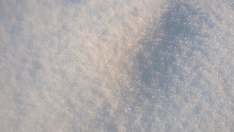 pristine fresh white snow surface in winter, winter detail, close up
