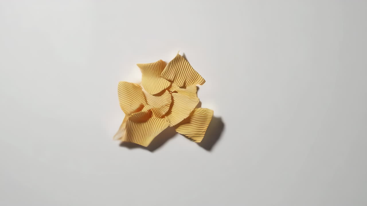 Scattered Crispy Chips
