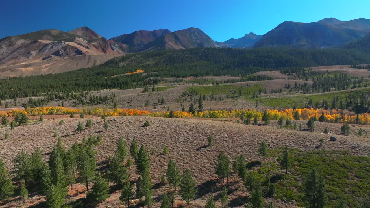 Mammoth Mountain Lakes Ski Area Sierras Nevadas Crowley Lake Mary Convict Canyon hot springs airport aerial drone California summer autumn fall yellow Aspen Trees sunny blue sky upwards motion