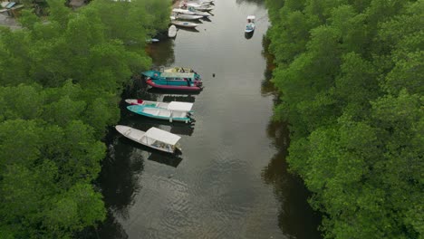 seaweed farmer community in mangrove forest on tropical island, boats anchored on shore, aerial