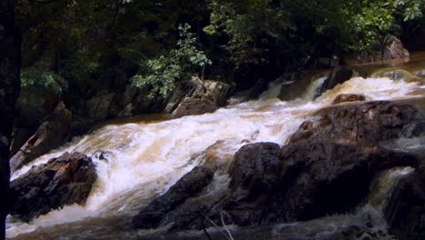 el agua del río en brasil está en niveles bajos debido a las condiciones ambientales de sequía