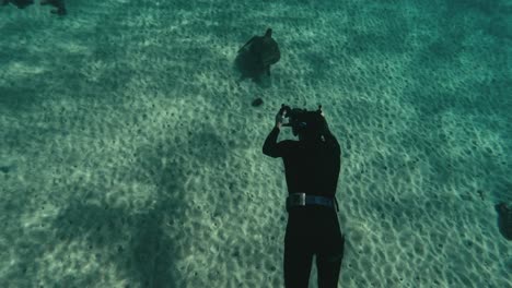 turtle gracefully swimming through ocean water captured on diver’s camera