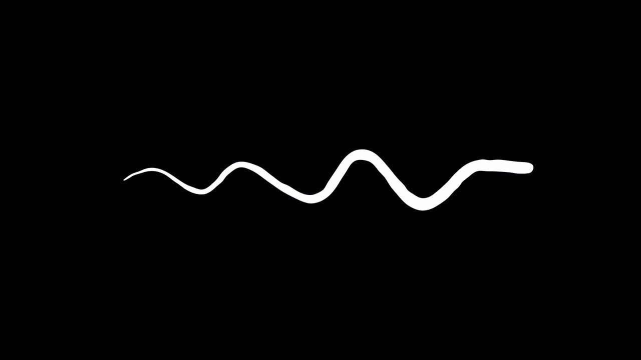 Linee 21