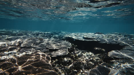 Luz-Clara-Que-Brilla-Sobre-El-Arrecife-De-Coral-Acropora-Reflejada-En-La-Superficie-Del-Agua