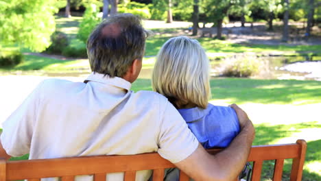 Afectuosa-Pareja-Sentada-En-Un-Banco-Del-Parque