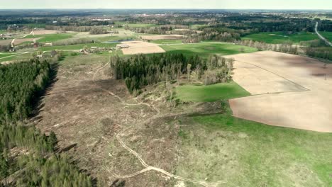 Vista-Aérea-De-Drones-De-Alto-ángulo-Del-área-Deforestada-En-Un-Día-Soleado