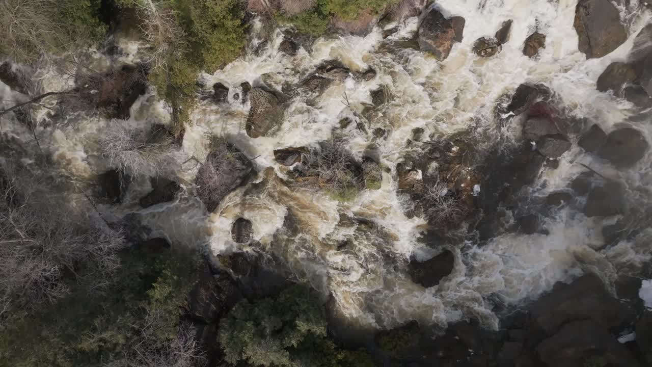 agua corriendo sobre las rocas en owen sound, canadá, rodeado de árboles, vista aérea