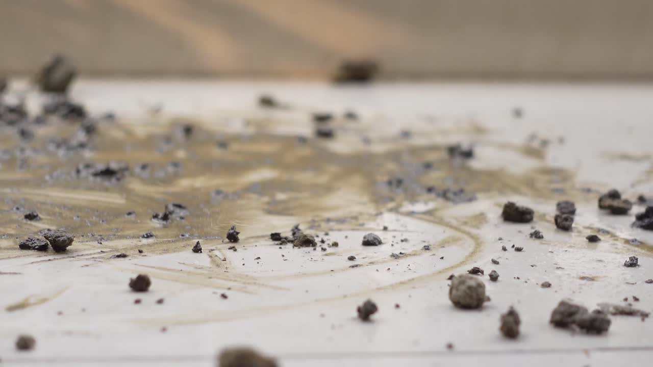 Close-up of dirt and debris on a surface