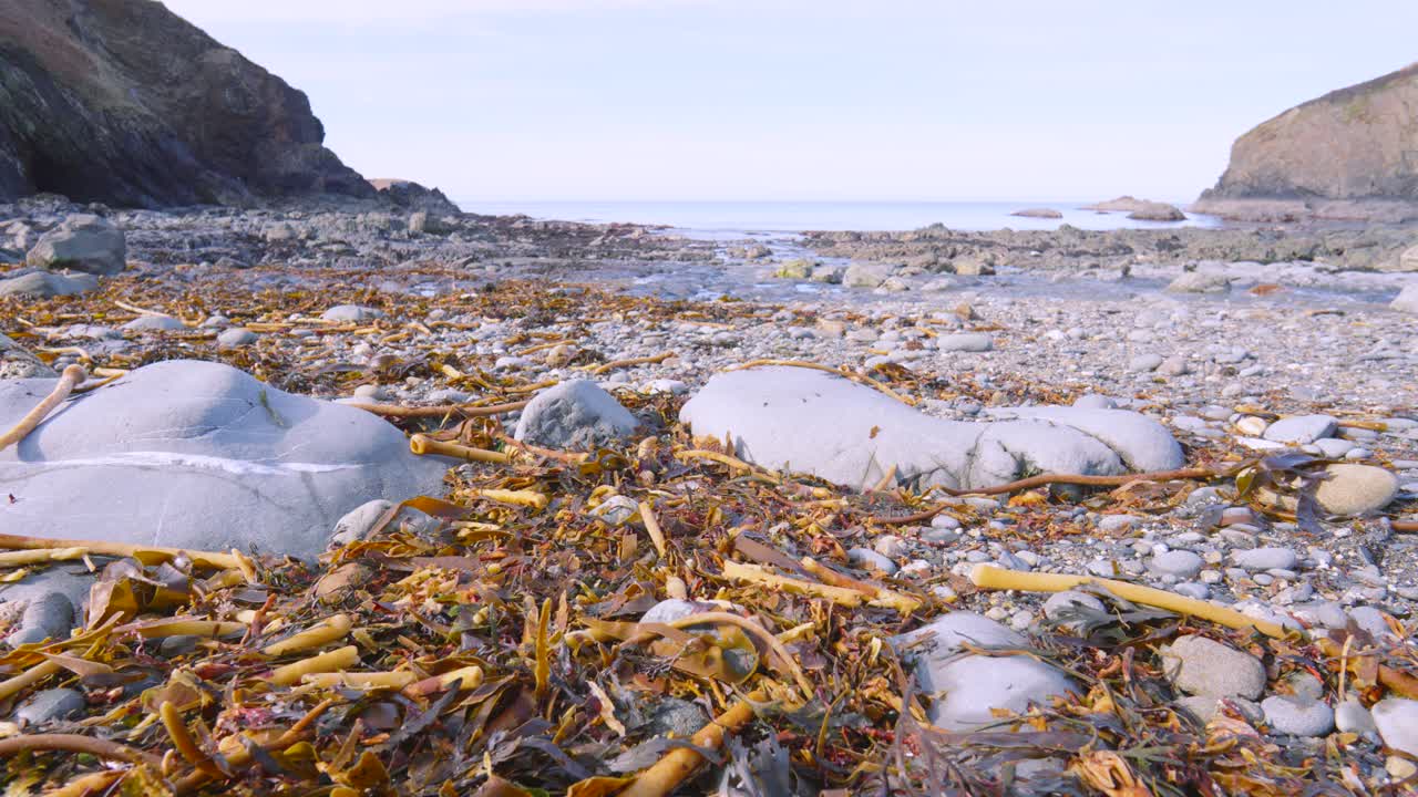 Wide Angle Rocky Pebbles Beach with Washed Up Seaweed with Rugged Coastline and Calm Sea. Nature Footage Filmed in Pembrokeshire, Wales UK.