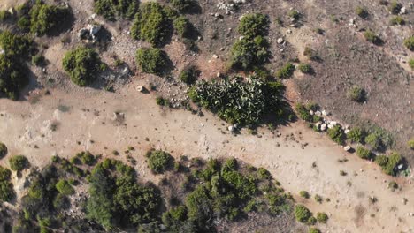 Luftdrohnenvideo-Aus-Malta,-Mellieha-Und-Umgebung