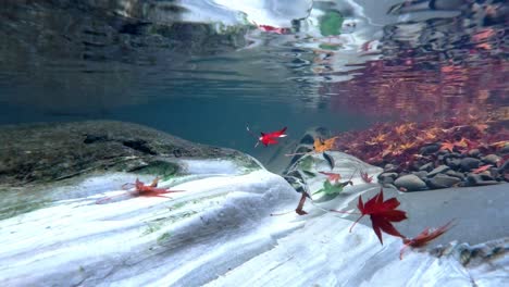 -Colorful-Fall-Leaves-Moving-Under-The-Clear-Water-In-A-River---underwater