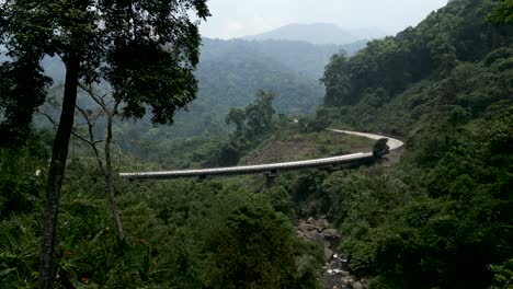 mountain road bridge with lush forest