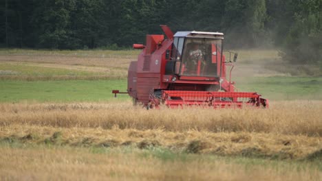 Máquina-De-Cosecha-De-Tractor-Rojo-Que-Trabaja-En-La-Tierra-Del-Campo-De-Trigo-En-El-Campo-Granja-Biológica-Orgánica