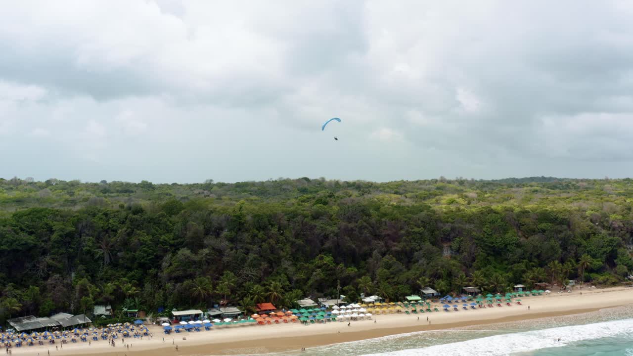 Left trucking aerial drone shot of a lone paragliding flying over the famous tropical Madeiro beach near Pipa, Brazil in Rio Grande do Norte with large looming green cliffs, golden sand and blue water