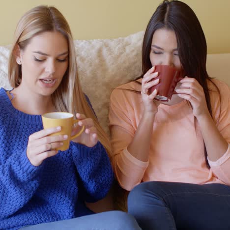 two pretty young women enjoy a relaxing coffee