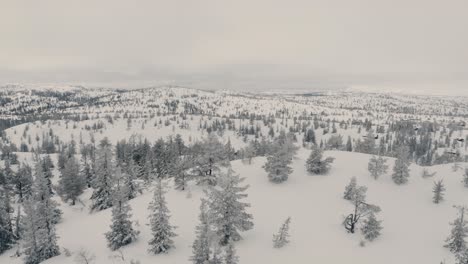 Drohnenaufnahme-In-Den-Schneebedeckten-Bergen-In-Norwegen-Mit-Kleinen-Bäumen,-Die-An-Einem-Bewölkten-Tag-Kleine-Hütten-Und-Hütten-Enthüllen