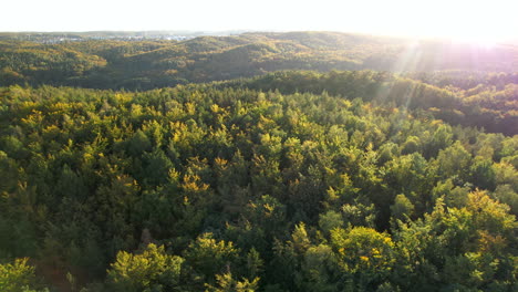 Beautiful-sun-rays-shining-over-hilly-woodland-with-green-and-yellow-trees-in-Poland---Aerial-view