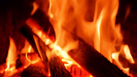 fuego de leña