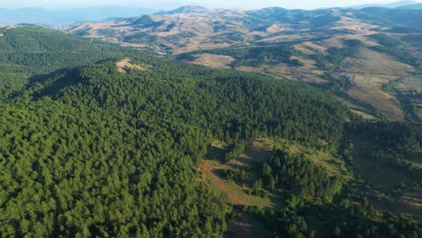 Pine-Tree-Forests-Grace-the-Majestic-Mountains-of-Albania,-Nestled-Near-the-Charming-Touristic-Village-of-Voskopoja