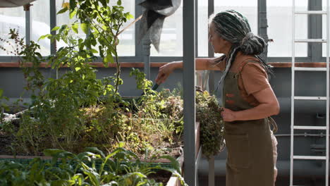 Gardener-working-indoors