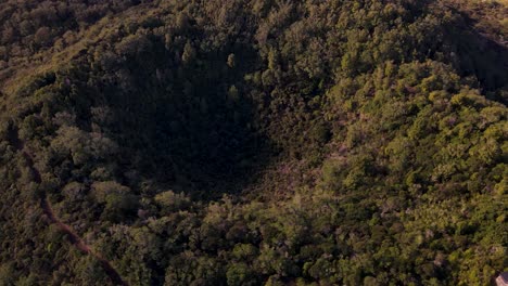Close-Up-View-From-Above-Of-Forested-Volcanic-Crater-Of-Rangitoto-Island-In-Auckland,-New-Zealand
