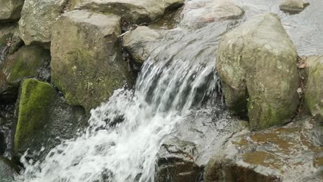 Clear-And-Clean-Water-Stream-Flowing-Over-The-Mossy-Rocks-In-Nara-Park