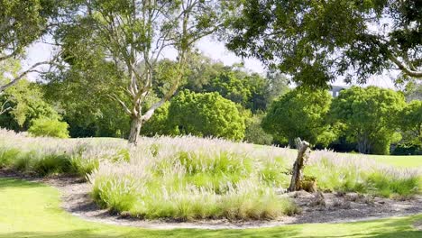 lush greenery and trees in a peaceful setting