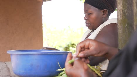 two local african women peeling and cooking beans