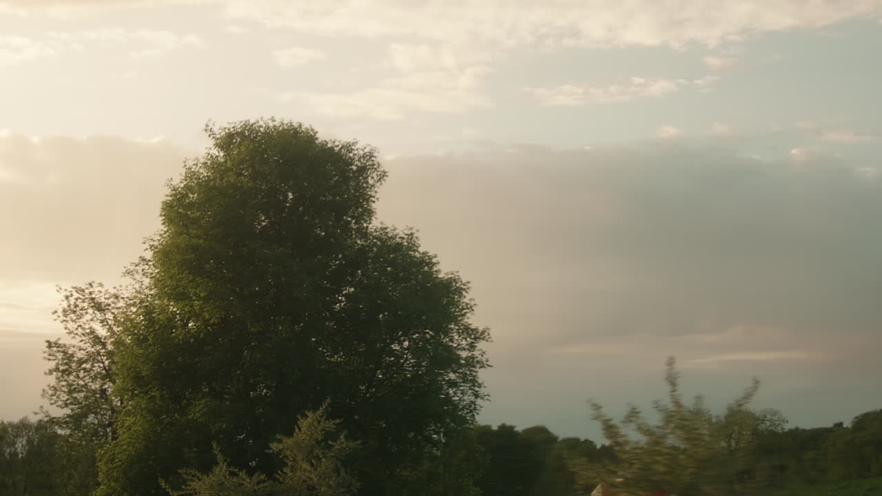 Treelined country road during sunset in Pennsylvania
