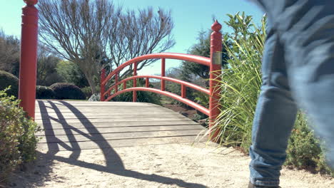 hombre parado en el puente rojo mira hacia el estanque, ju raku en jardín japonés, toowoomba, australia