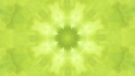 hermosa naturaleza verde bokeh sol abstracto fondo borroso, hoja de la planta deja sombra.
