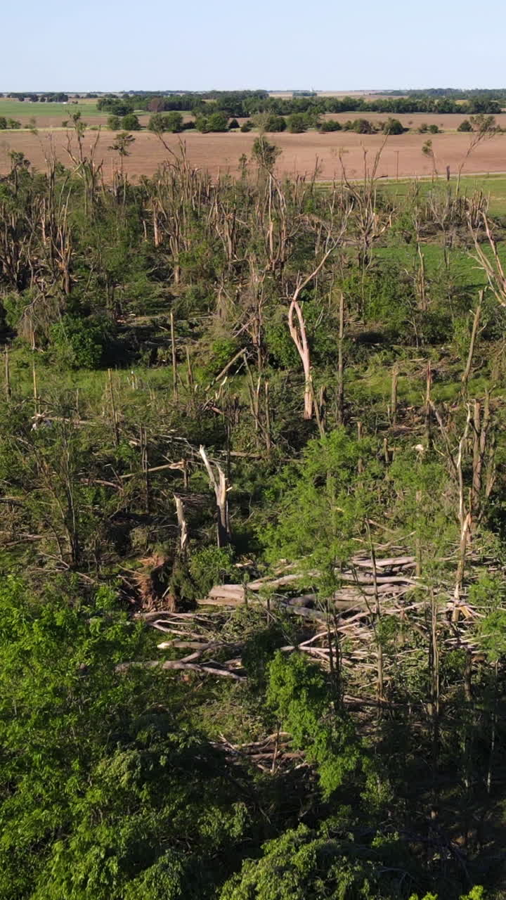 Vertical drone shot over ripped forest, tornado destruction in sunny Kansas, USA