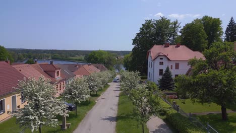 car on alley with white blooming trees dramatic aerial top view flight rural village chlum on lake in czech republic europe, summer day of 2023