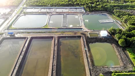 vista aérea de la granja de camarones y el purificador de aire en tailandia. el negocio de acuicultura en continuo crecimiento se exporta al mercado internacional.