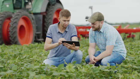 two young farmers use the tablet