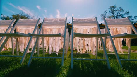 a row of chairs on green grass 1