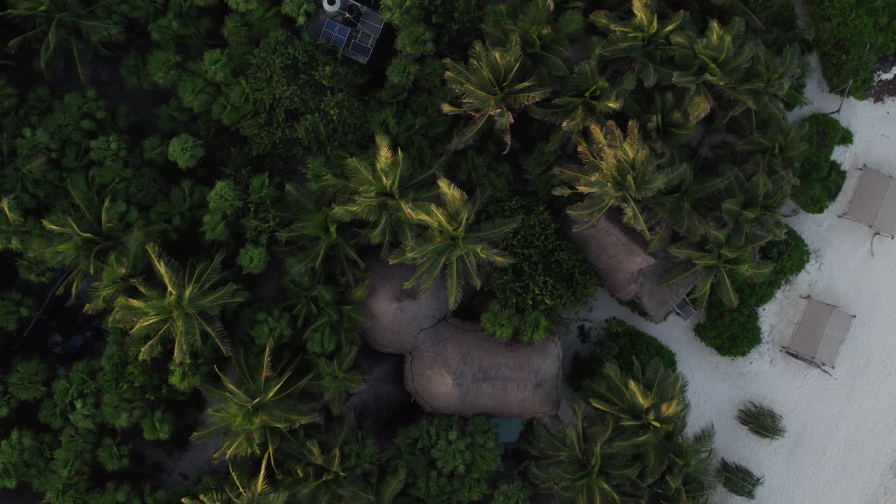 vista aérea de arriba hacia abajo de cabañas y chozas en la hermosa playa de arena blanca en el paraíso tropical en tulum, méxico