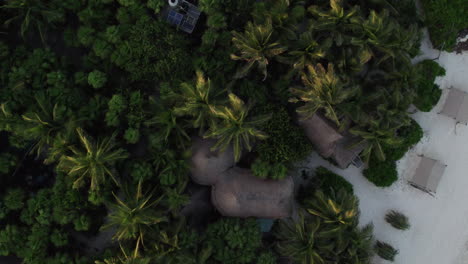 Top-down-aerial-view-of-cabanas-and-huts-on-beautiful-white-sand-beach-in-tropical-paradise-in-Tulum,-Mexico