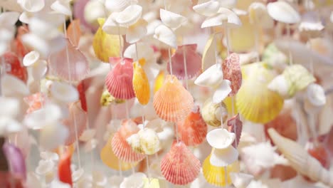 colorful seashell wind chimes